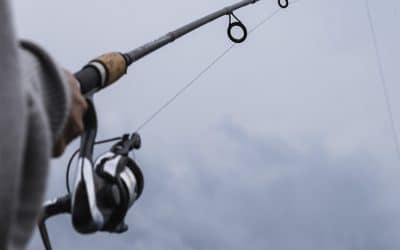 Fishing for Value in the U.S. Market: three small-mid cap companies to consider
