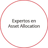 Expertos Asset Allocation