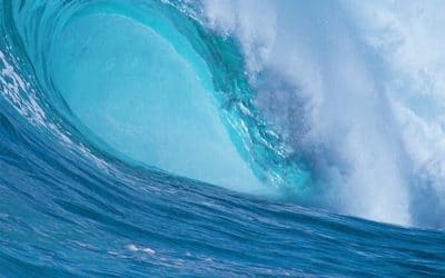 El «tsunami» de normativas ASG podría obstaculizar el progreso climático