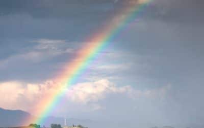 La calma vuelve a los mercados (después de la tormenta)