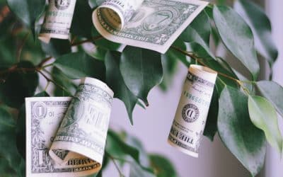 Don’t let the tree of parity keep from seeing the forest of the exchange market