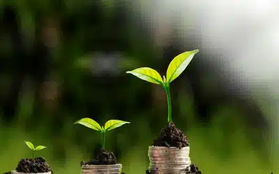 ¿Cómo planificar el ciclo de las inversiones a lo largo de la vida?