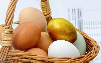 What is risk diversification, and why is it so important for your investment portfolio?